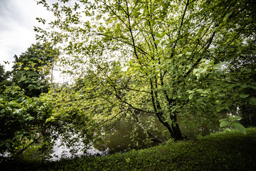 Similar image 22129869