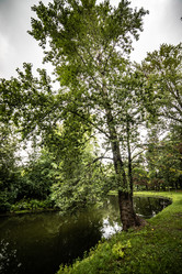 Similar image 22129870