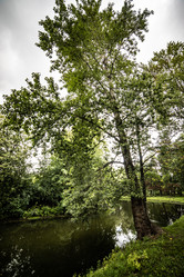 Similar image 22129871