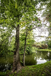 Similar image 22129872