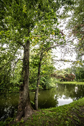 Similar image 22129873