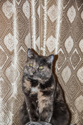 Similar image 22124801