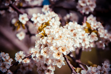 Similar image 22129882