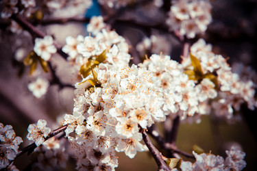 Similar image 22129886