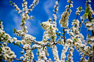 Similar image 22129890