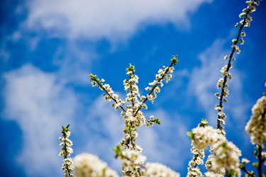 Similar image 22129894