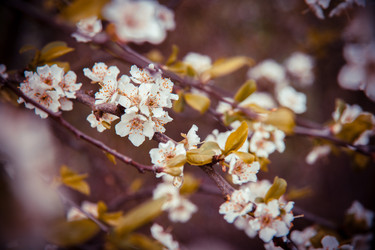 Similar image 22129897