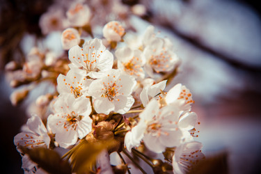 Similar image 22128927