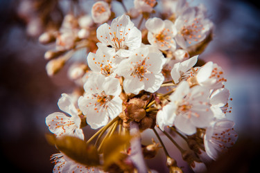 Similar image 22128932