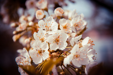 Similar image 22128934