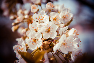 Similar image 22128937