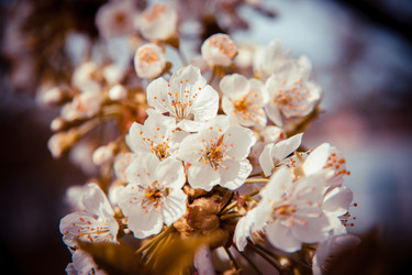 Similar image 22128940