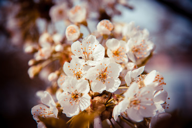 Similar image 22129898