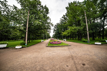 Similar image 22129900