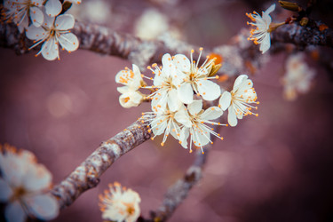 Similar image 22129901