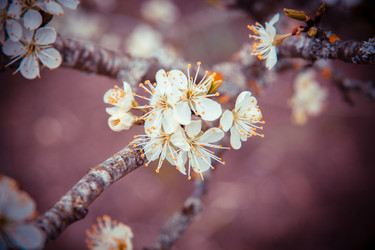 Similar image 22129904