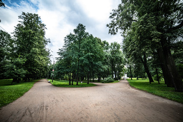 Similar image 22129905