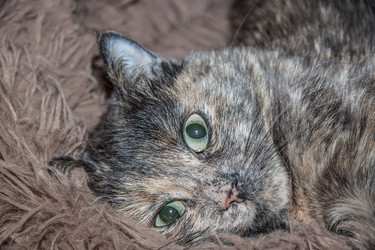 Similar image 22124803