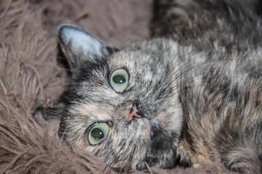 Similar image 22124804