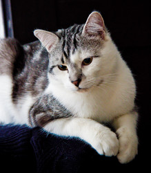 Similar image 22124805