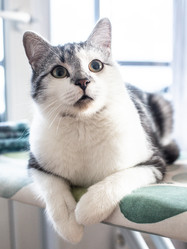 Similar image 22124806