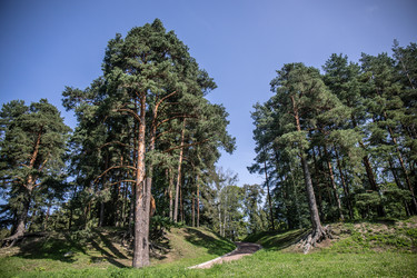 Similar image 22121658