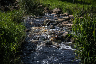 Similar image 22121667