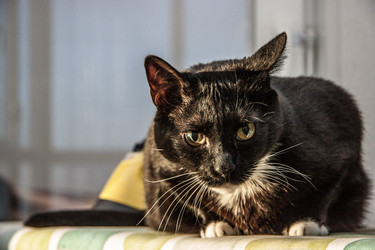 Similar image 22121681