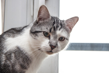 Similar image 22121689