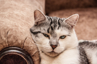 Similar image 22121690