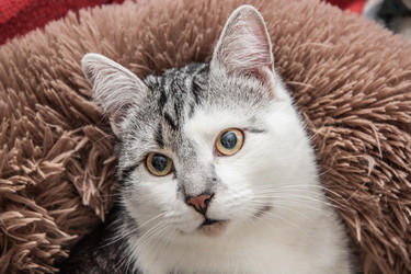 Similar image 22121691