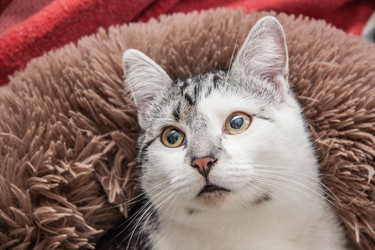 Similar image 22121692