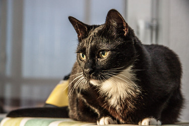 Similar image 22121693