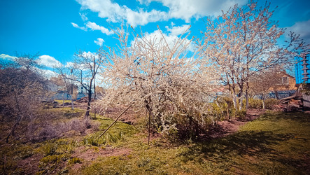 Similar image 22121694