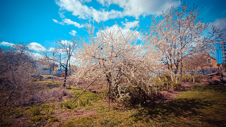 Similar image 22121695