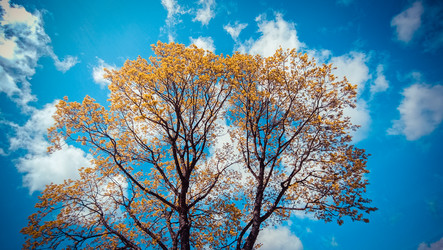 Similar image 22121697