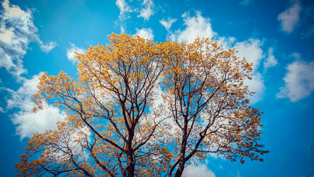 Similar image 22121698