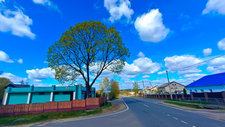 Similar image 22121700