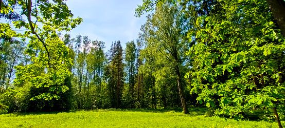 Similar image 22121704