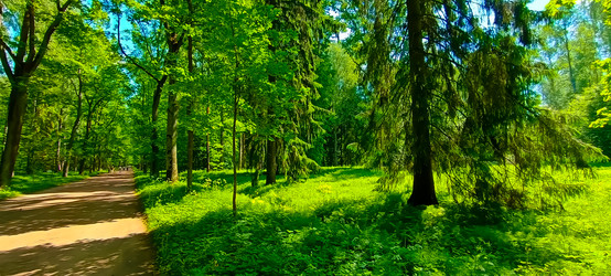 Similar image 22121705