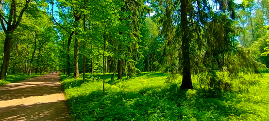 Similar image 22121706