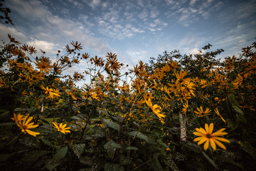 Similar image 22121753