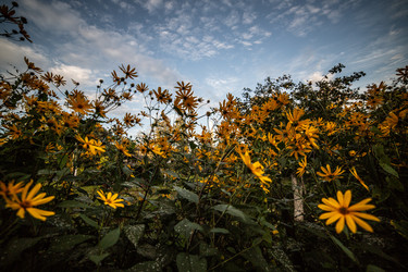 Similar image 22121754