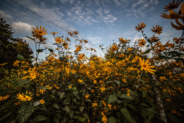 Similar image 22121755