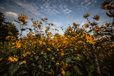 Similar image 22121756