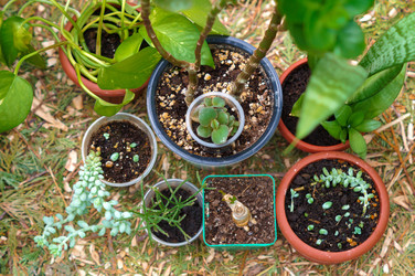 Similar image 22095633