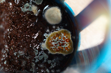 Similar image 22095634