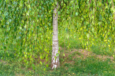 Similar image 22095635