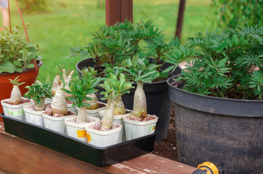 Similar image 22095636