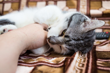 Similar image 22121757